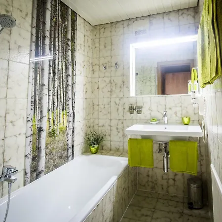 Hotel-pension Schattberg فندق سالباخ هينترغليم