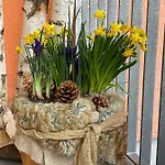 Hotel-pension Schattberg 3*
