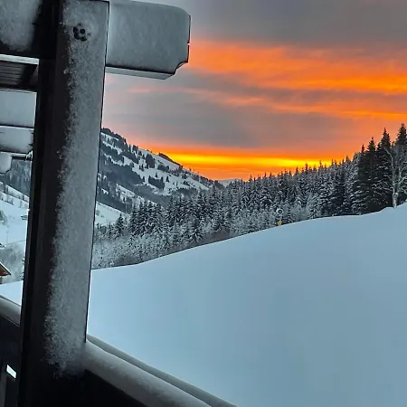 Hotel Hotel-pension Schattberg