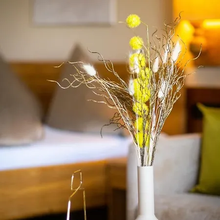 Hotel Hotel-pension Schattberg Saalbach-Hinterglemm