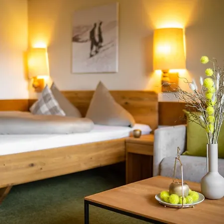 Hotel-pension Schattberg Hotel