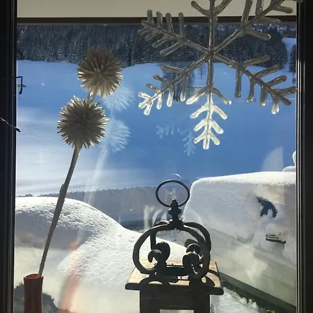 Hotel Hotel-pension Schattberg 3*