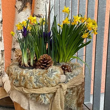 Hotel-pension Schattberg 3*